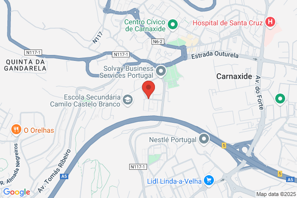 Maria R B Machado Castanheira