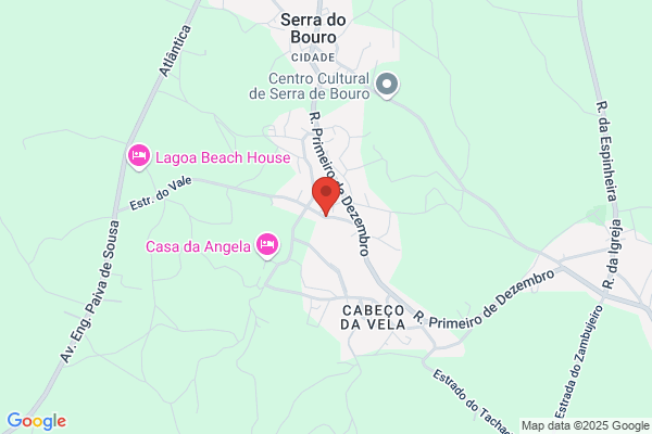 Ana S Antunes Carreira