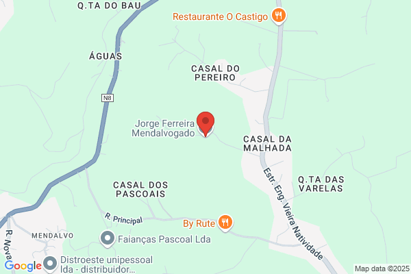 Maria M S Ferreira Gueda