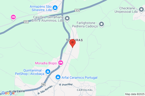 Rui Serralheiro Fialho