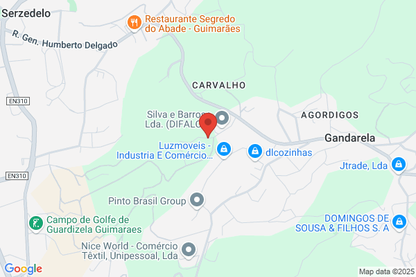 Brilhantina Silva A Oliveira