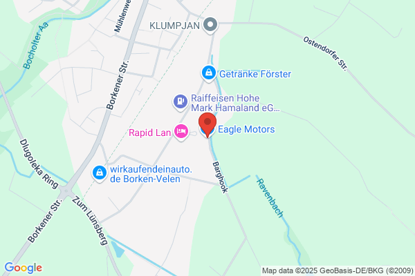 Eagle Motors