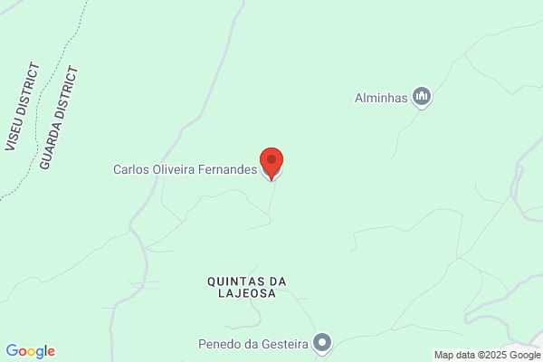Carlos M Machado Fernandes