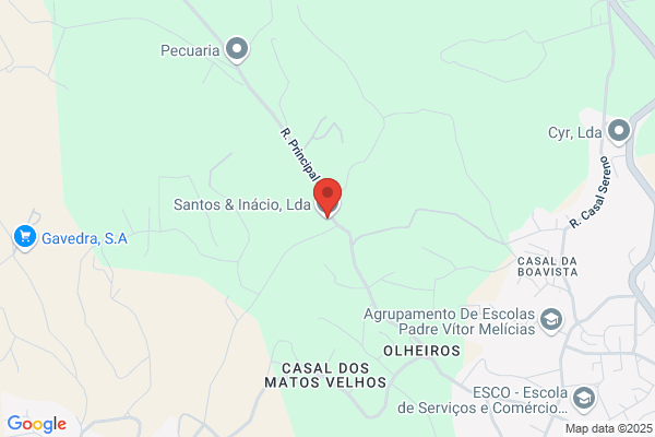 Cosasi-Consultadoria E Gestao De Empresas. Lda