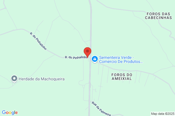 Duarte`s Caf