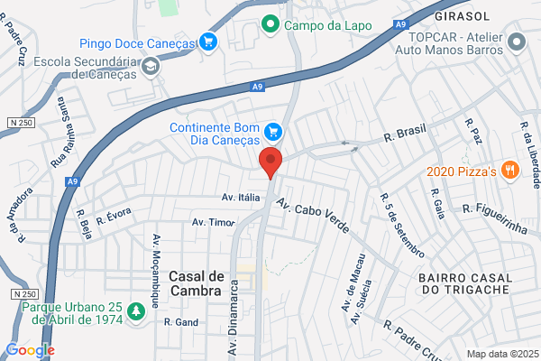 Anabela C Banza Coelho