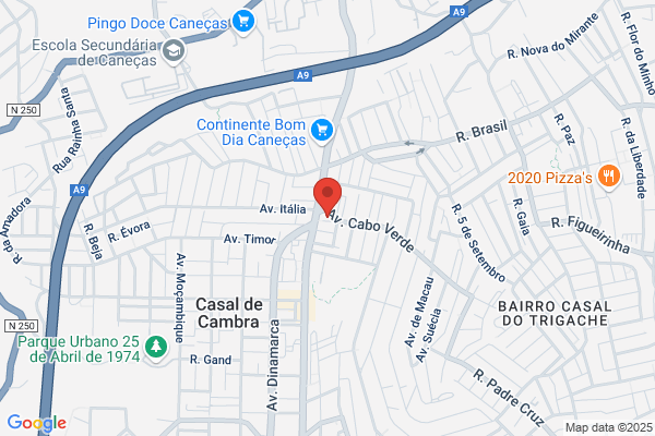 Delminda Vicente G Santos