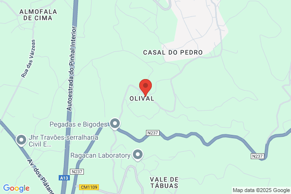 Vitor Oliveira
