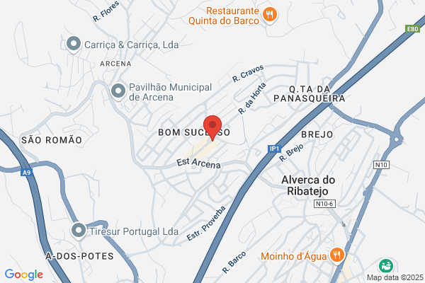 Reis Carla M M Correia
