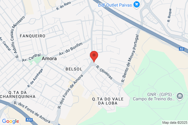 Hospital Veterinário Dos Foros De Amora
