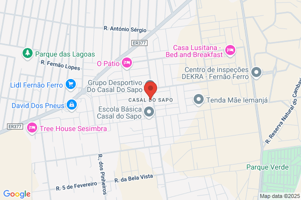 A Toca Do Leão