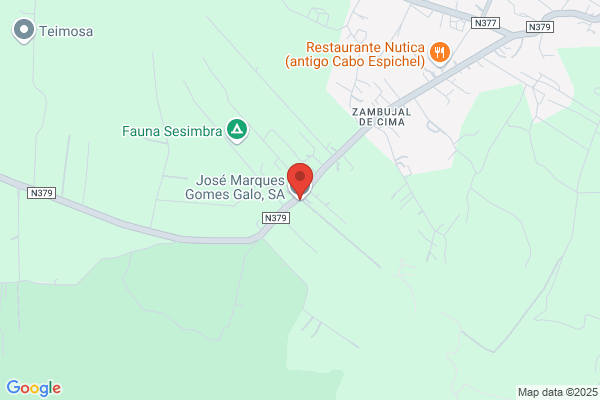 Romilda Gomes Galo