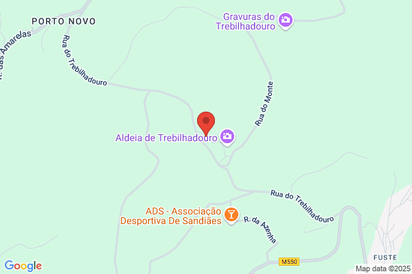 Olinda M F Cardoso Azevedo