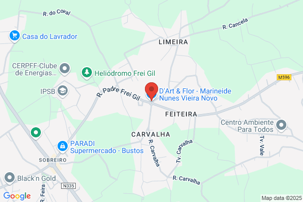 Daria Marques Flores Dinis Dos Santos