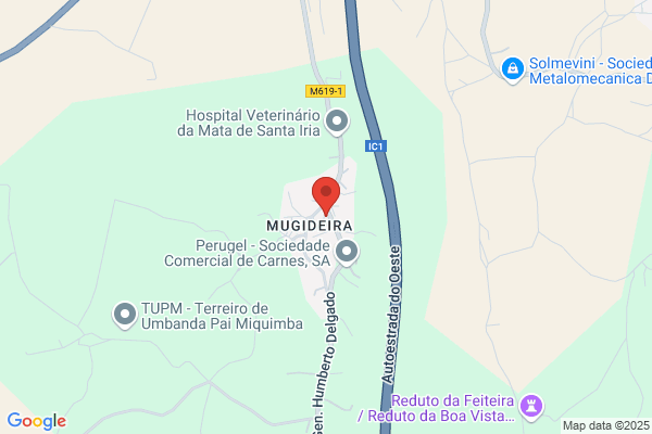 Diamecom-Diagnastico Medico Computorizado. Sa