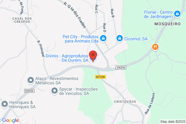 Regina Conceiï Figueiredo