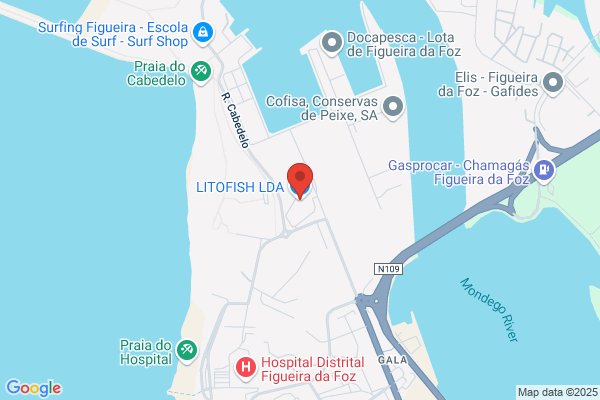 Distrifish-Comãio De Peixe Lda