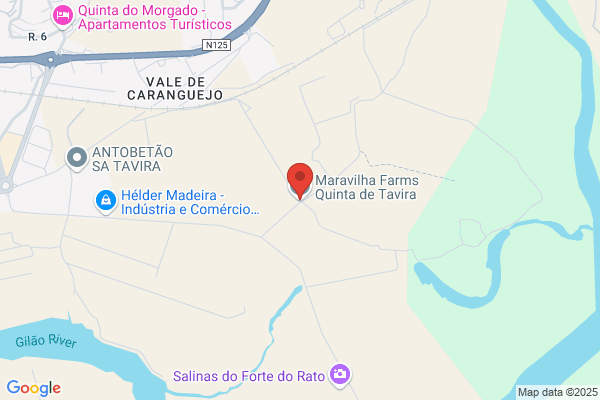 Emio-Sociedade De Agricultores E Vendedores De Produtos Agrïlas Do concelho De tavira lda