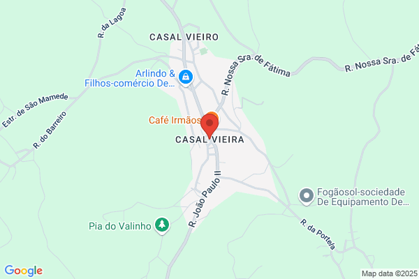 Carlos Vieira Pedro