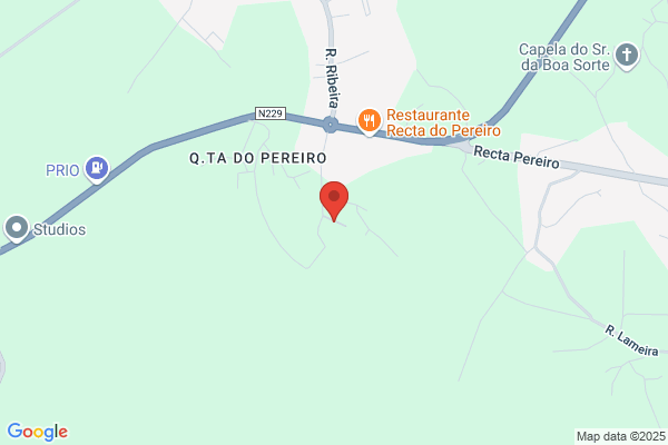 Casa Da Madrinha E As Rosas-Casa De Repouso lda,a