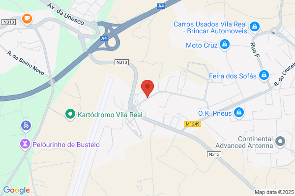 Auto Sueco