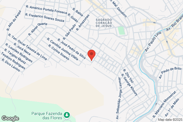 Clínica Veterinária da Formiga