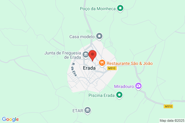 Maria C F Mendes Fernandes