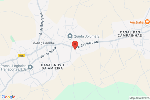 Teresa S Freitas Ribeiro