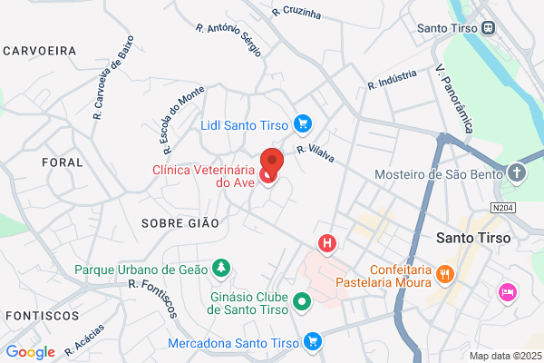 Clínica Veterinária Do Ave Lda