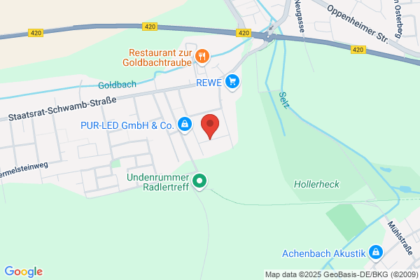 Herné Gomes