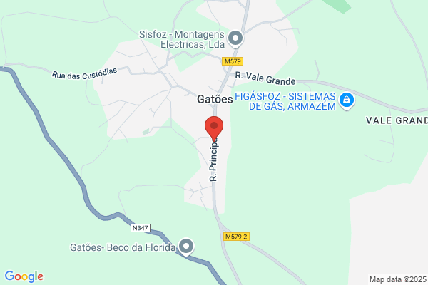 Gct On Line-Distribuiï Alimentar Sa