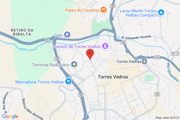 Lia M P Santos Duarte