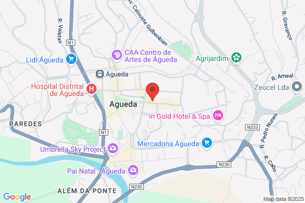 Auto Mercado Central