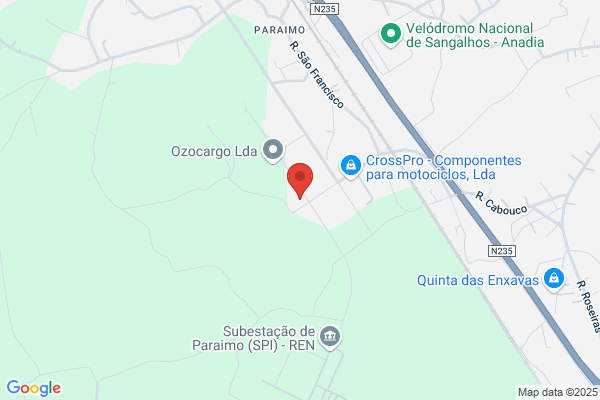 Maria A G Silva Pires