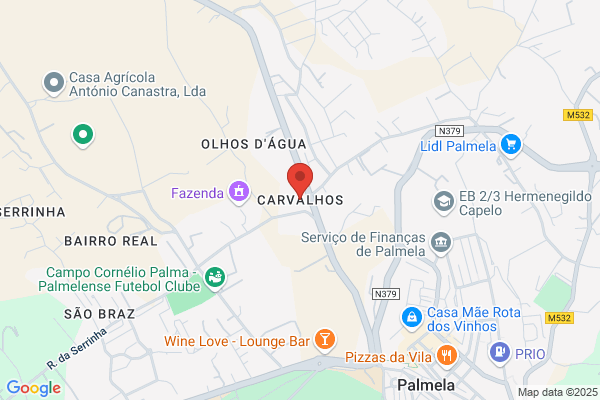 Camial-Comercializaiao De Camiåes. Lda