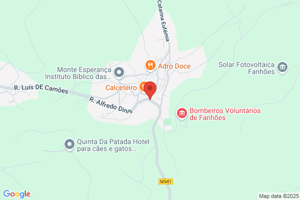 Henrique Dos Santos Soares Encadernaï Lda