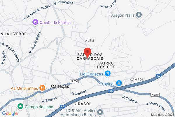 Jorge H Nunes Simü