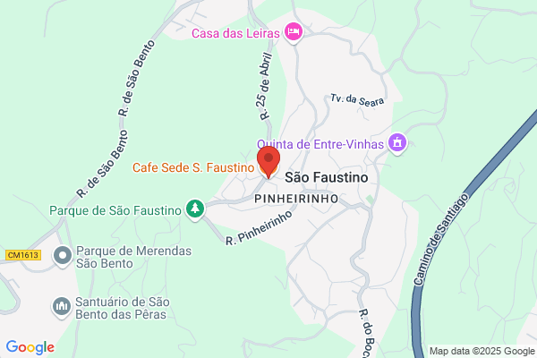 Faustino Santos Bôolo