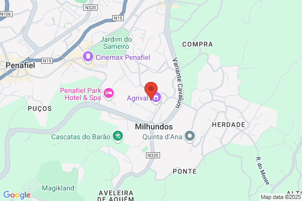 Abílio Rodrigues Coelho