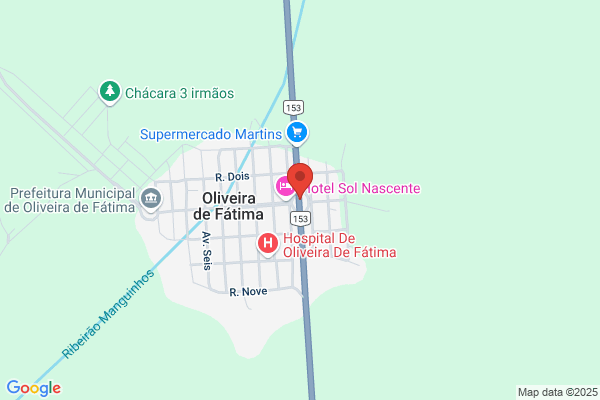 Fátima L Oliveira Fernandes