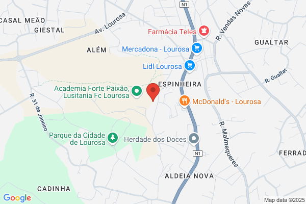 Jardim De Infãia De Lourosa