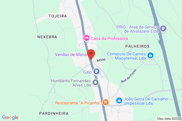 Paulo J C Palma Martins