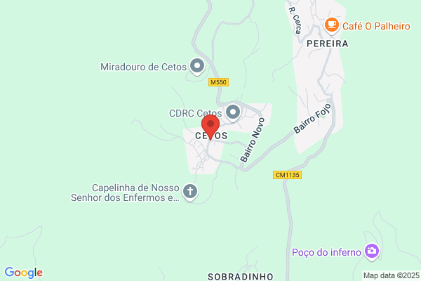 Celeste R Castro Teixeira
