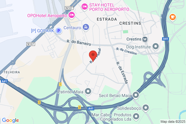 F Ribeiro Da Costa