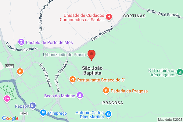 Pedro G F Alves Loureiro