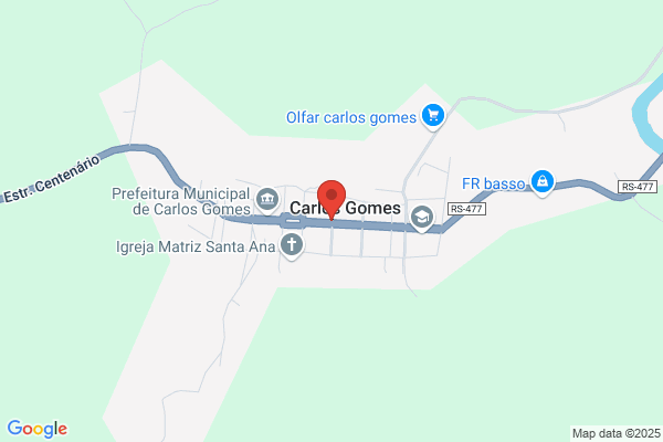 Carlos M Gomes Lopes