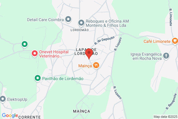 Maria C A Mourato Chora
