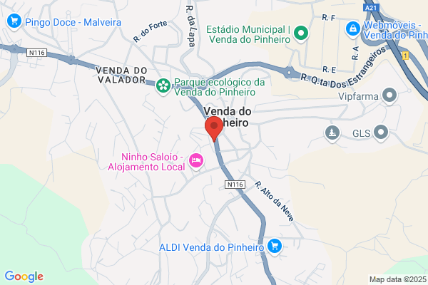 Maria R Rebelo Branco