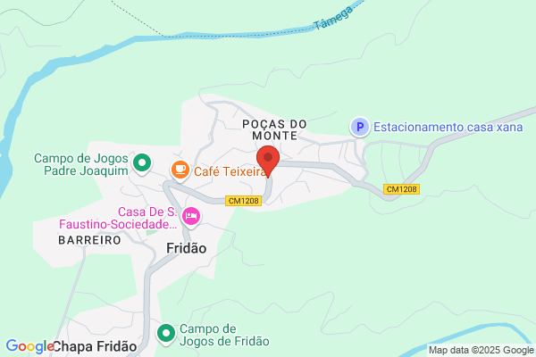 Rui M Sfaustino