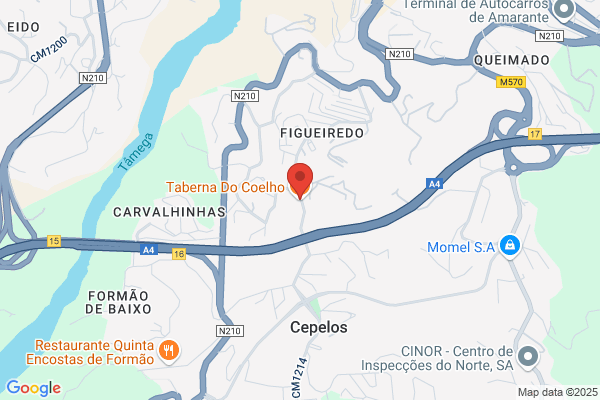 Taberna Do Coelho